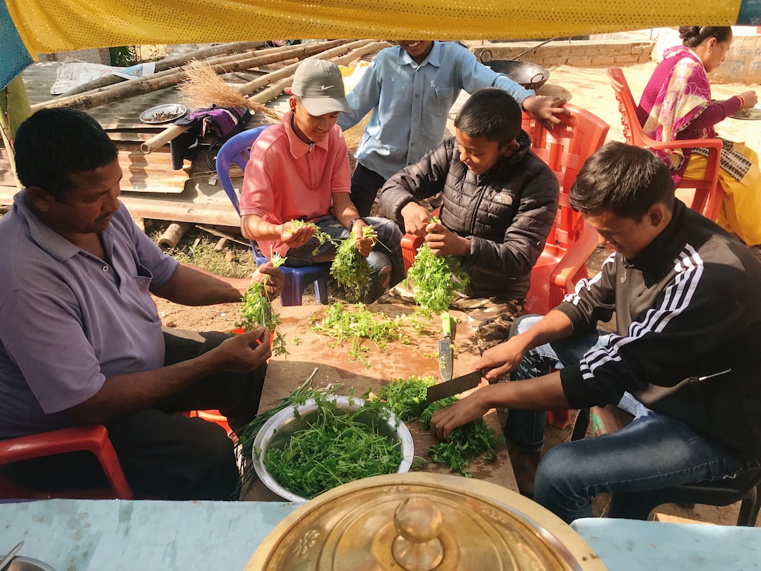 Plant-based balanced nutrition for men